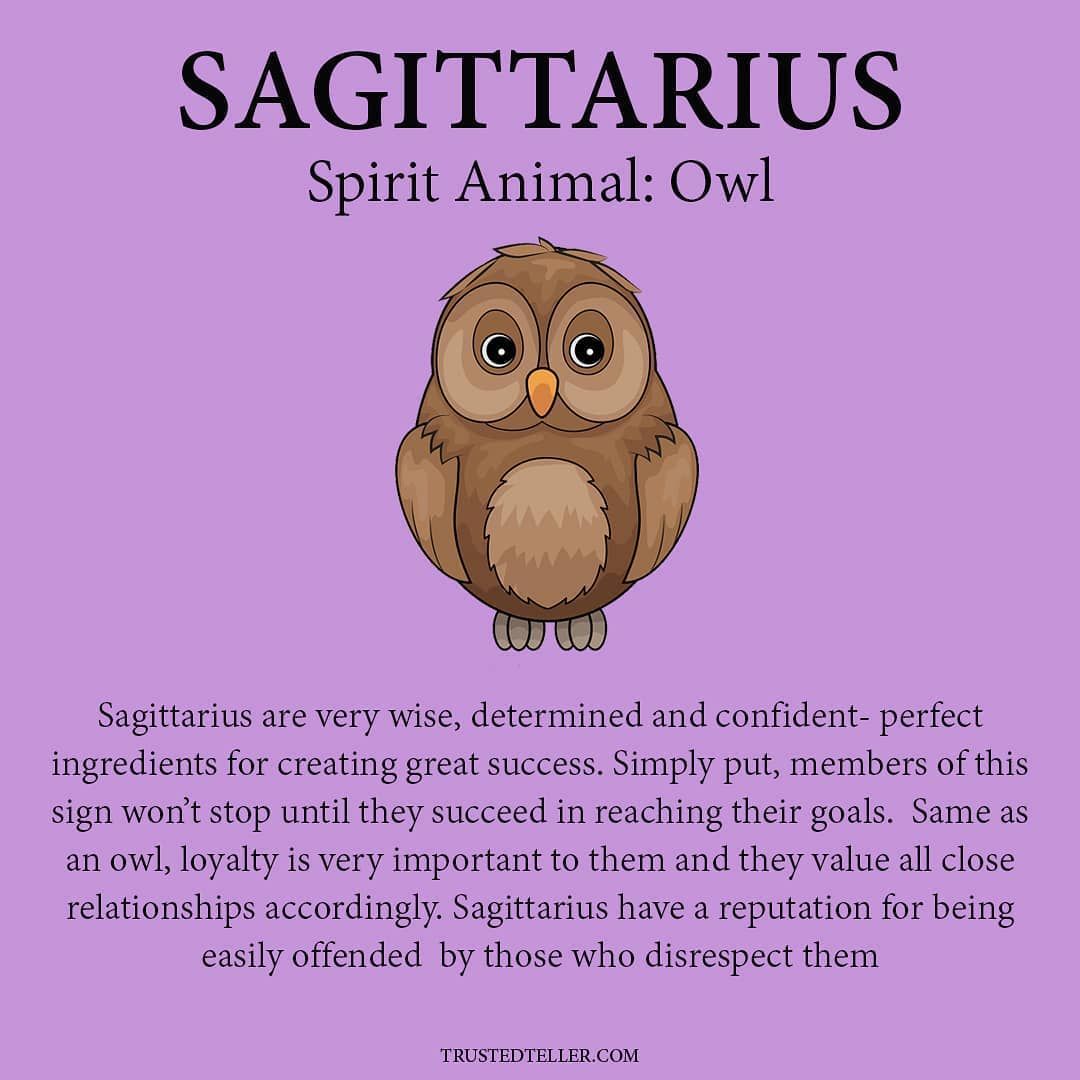 What is the Sagittarius Spirit Animal？ Discover Its Meaning and Traits