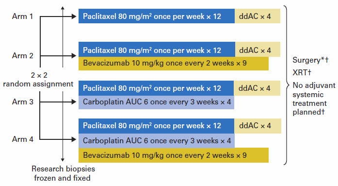 is dense dose doxorubicin and cyclophosphamide for breast cancer