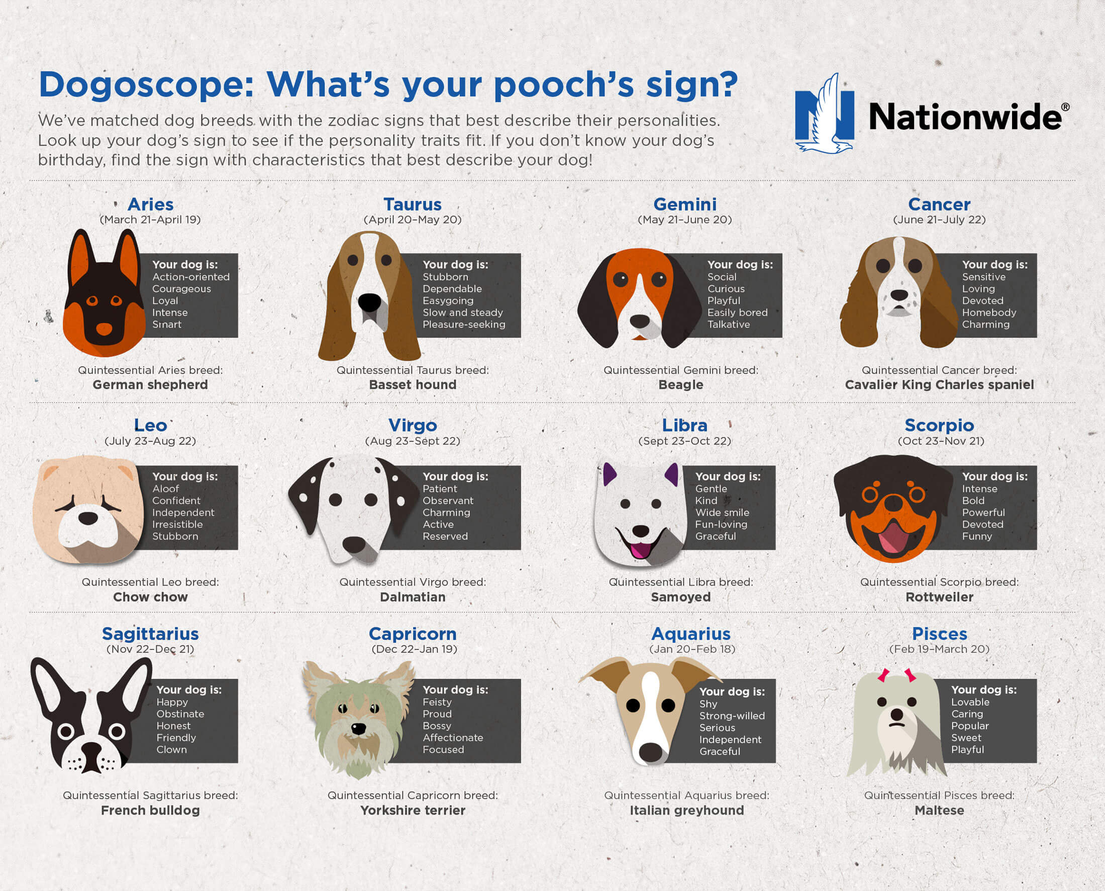 What You Need to Know About Libra Dogs: Traits and Personality