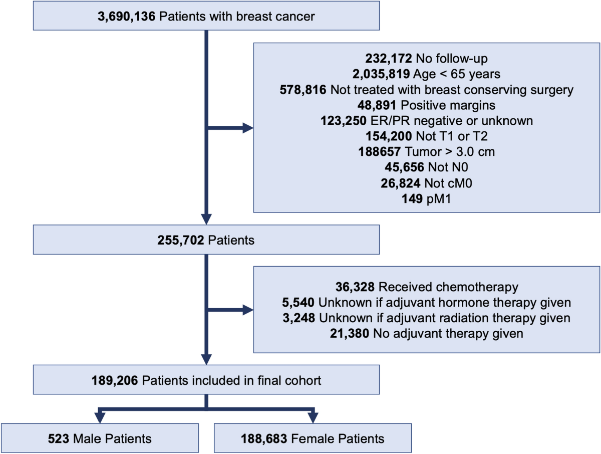 did the calgb breast cancer radiation omission trial include men