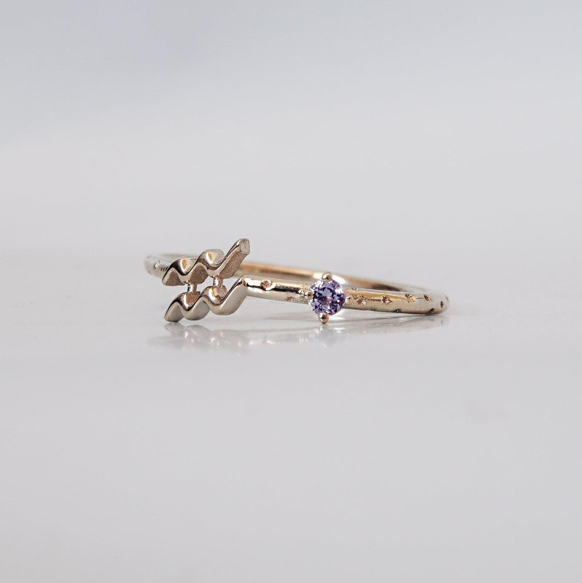 Shop Aquarius Birthstone Rings: Garnet & Amethyst Zodiac Jewelry