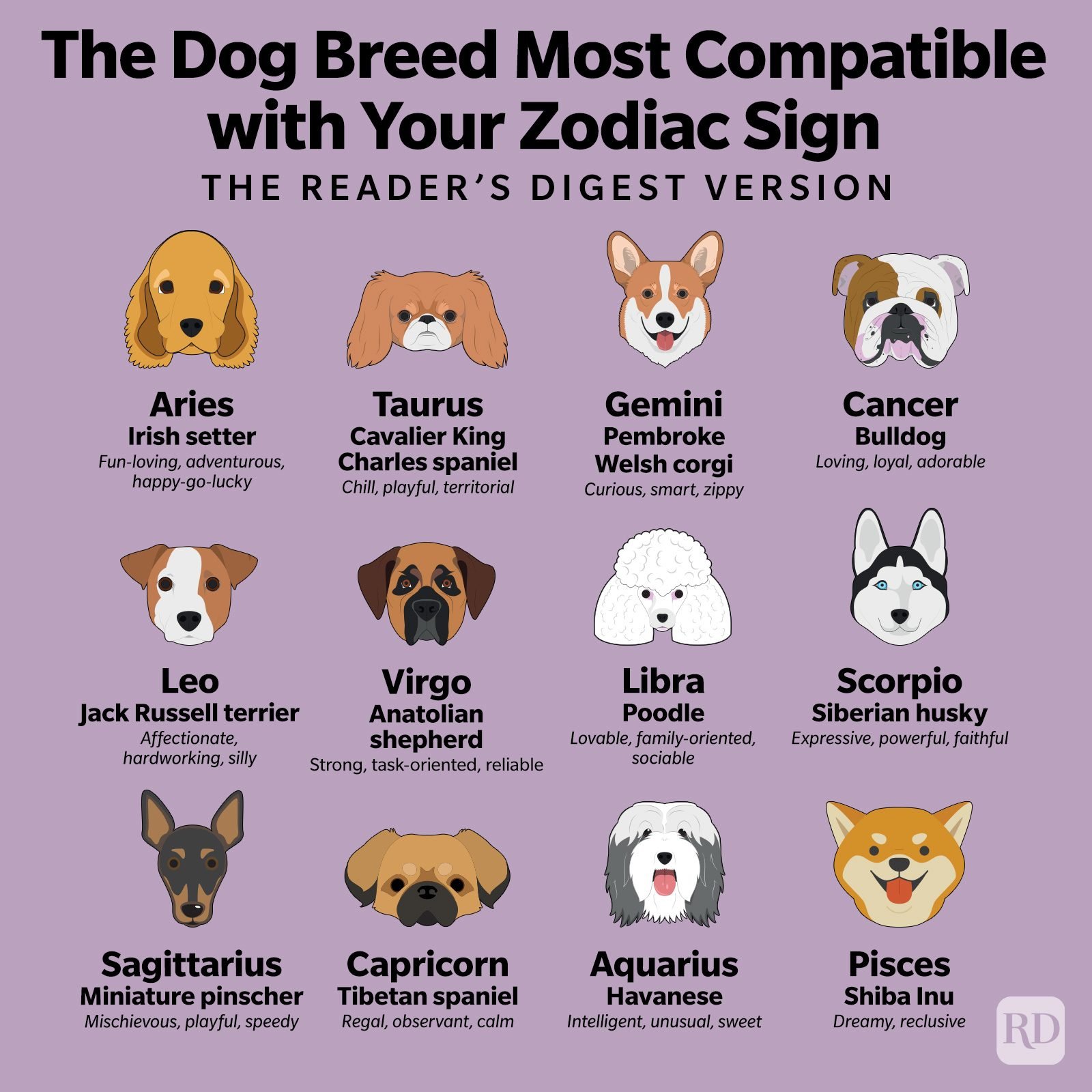 What You Need to Know About Libra Dogs: Traits and Personality