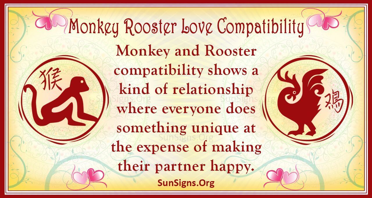 Rooster Man and Monkey Woman Compatibility: A Unique Match