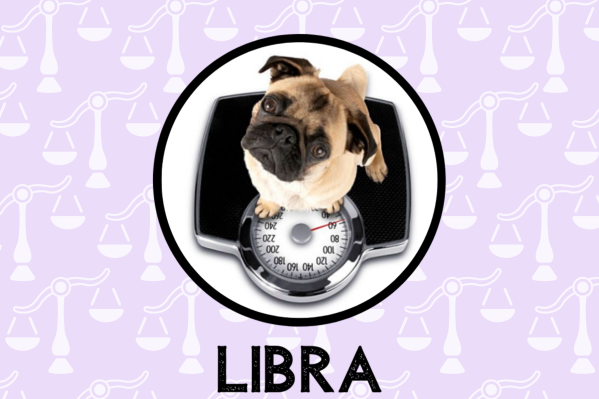 What You Need to Know About Libra Dogs: Traits and Personality