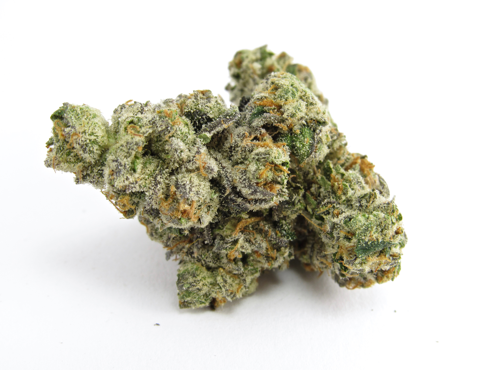 Explore the Gemini Strain: A Hybrid with Euphoric and Relaxing Effects