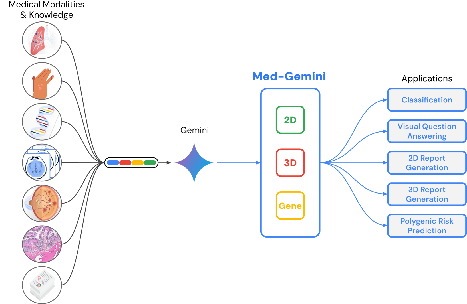 Advancing Multimodal Medical Capabilities with Gemini: Revolutionizing Healthcare