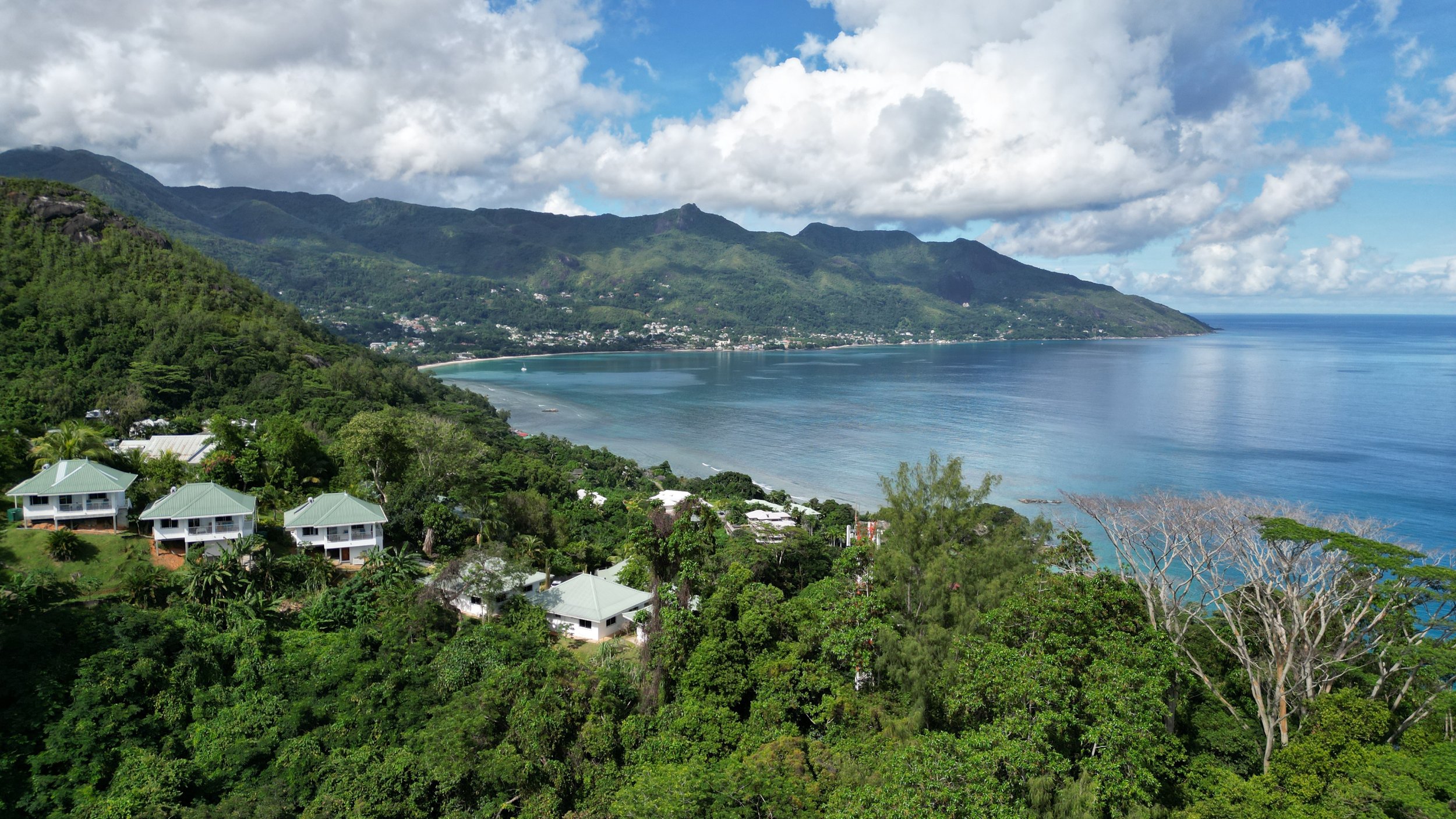 Leo Clark St Lucia: Unforgettable Adventures and Relaxation