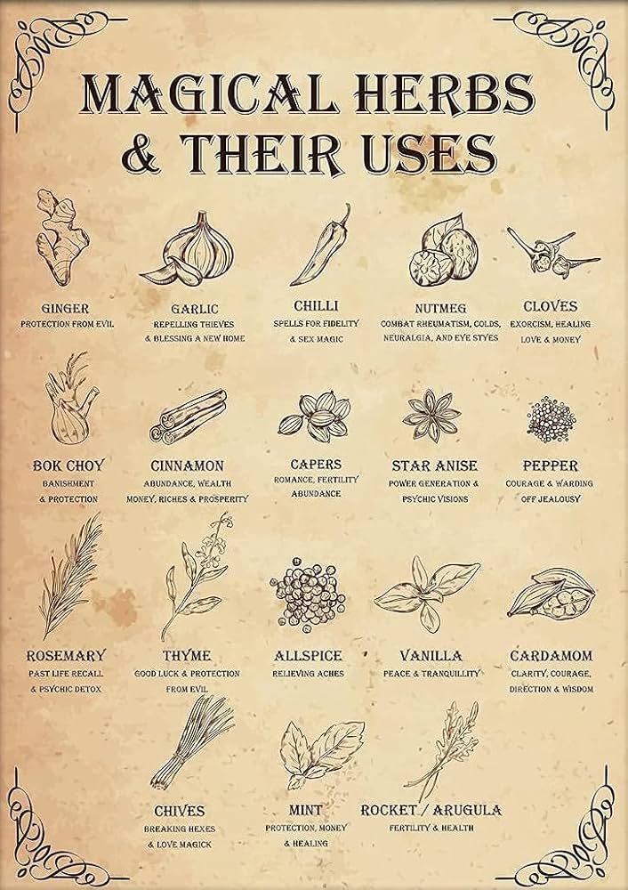 Herbs for divination: discover their magical uses and simple methods for beginners.