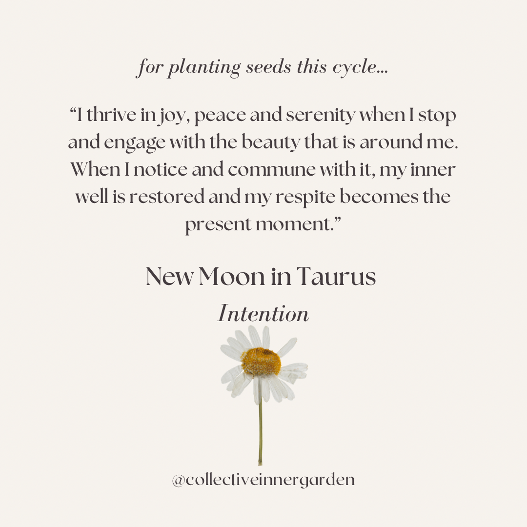 Taurus New Moon: Setting Intentions for Abundance