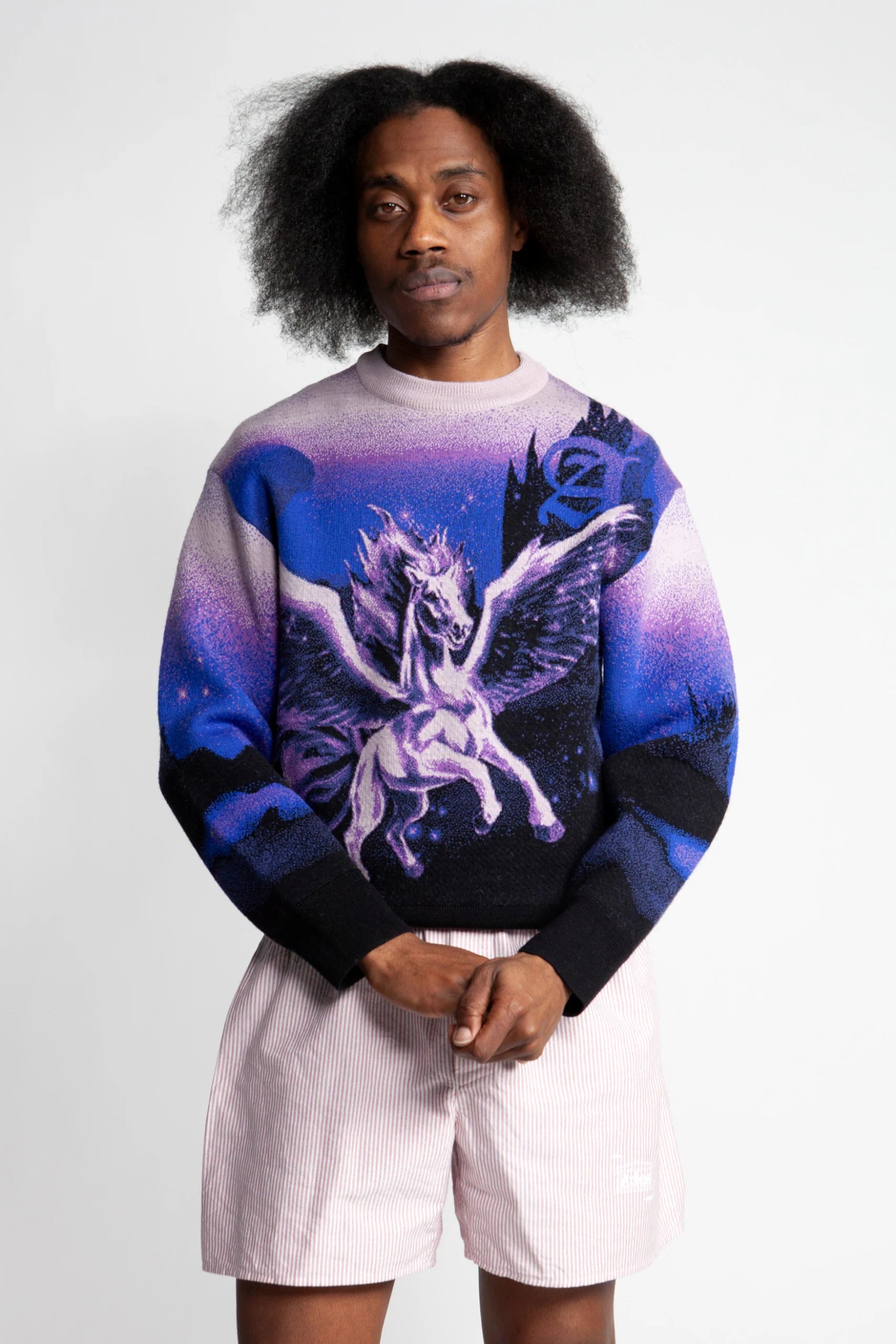 Aries Pegasus Knit: See Why Everyones Obsessed with It