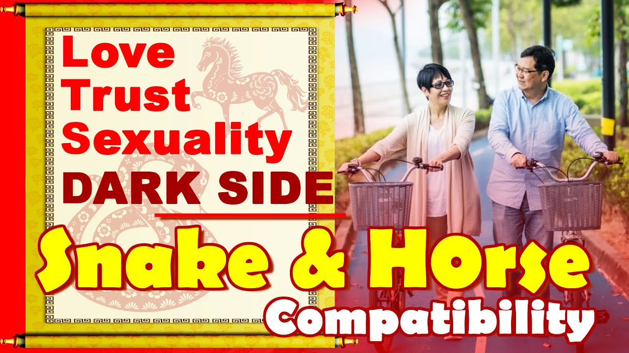 Is Horse Woman and Snake Man Compatibility a Good Match for Marriage?