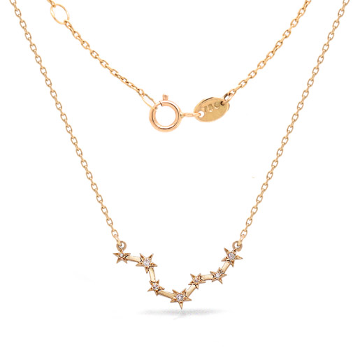 Shine Bright with a Pisces Constellation Necklace