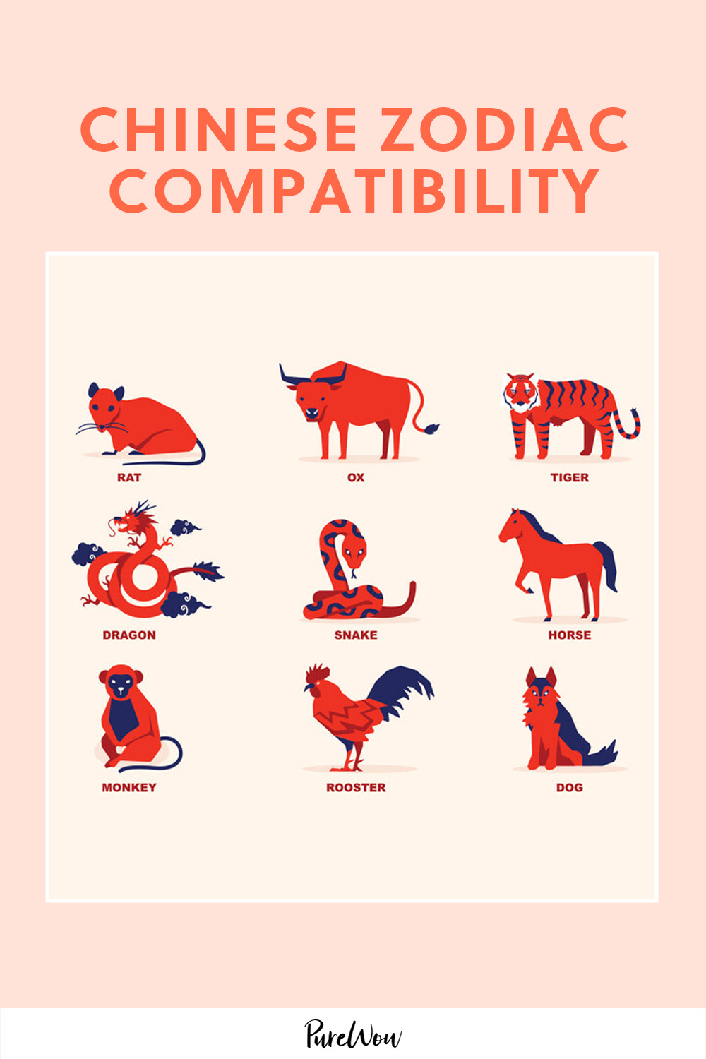 Monkey vs Snake: The Ultimate Chinese Zodiac Compatibility Guide