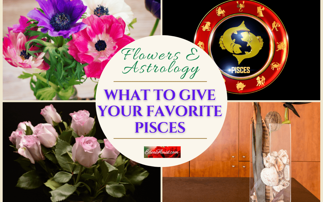 Pisces Flower Care: Tips and Tricks for Beginners