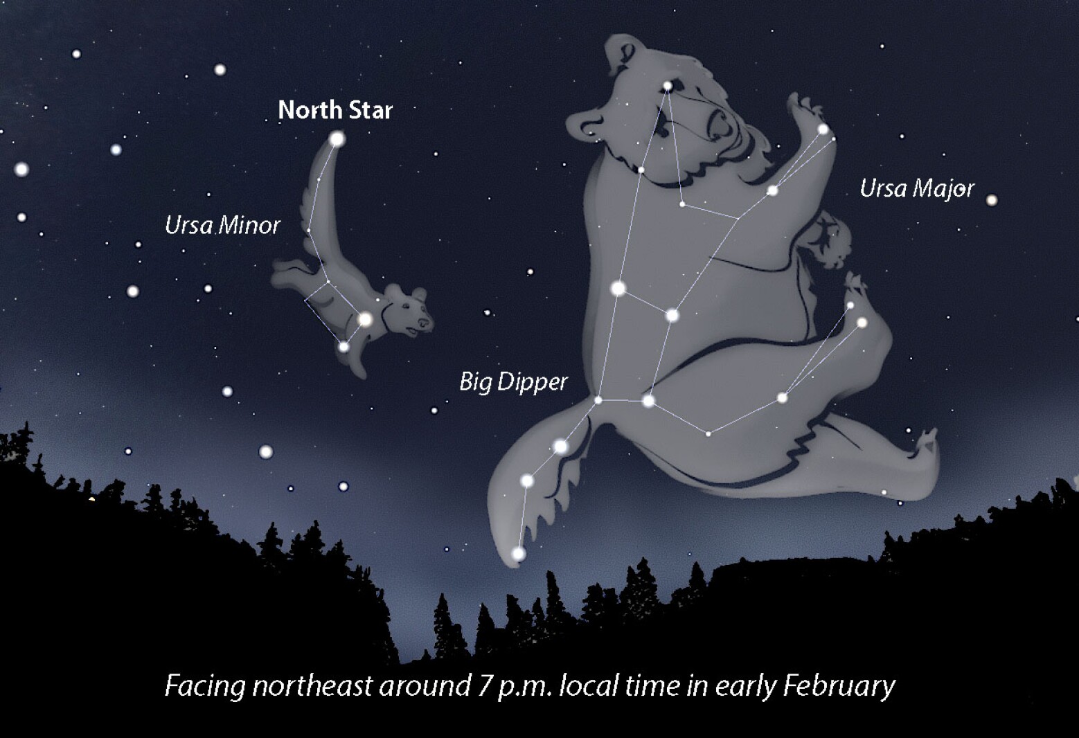 Constellations and Bears:  Bear in Constellation Names NYT Explores the Connection