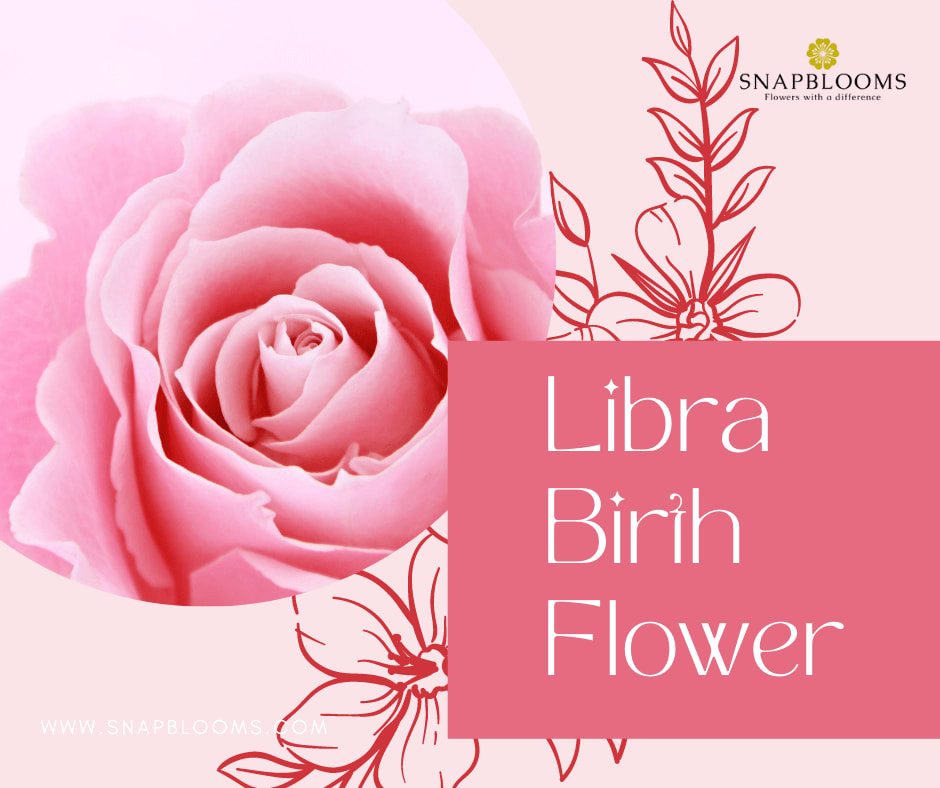 Libra Zodiac Flower: What Is the Best Flower for Libras?