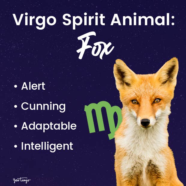 What is a Virgos Spirit Animal? Heres How to Identify Your Zodiac Guide!