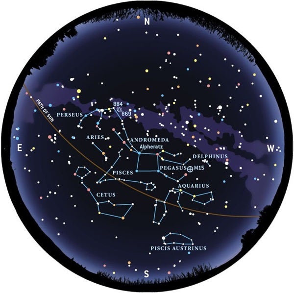 Constellation Guide for Beginners: Learn the Basics of Stargazing the Easy Way