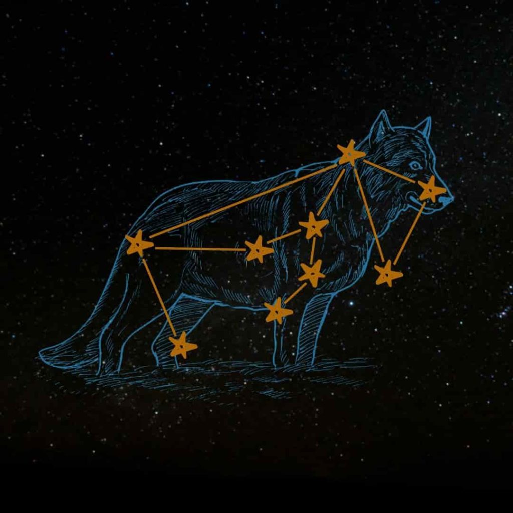 All About Lupus the Wolf Constellation: Fun Facts and How to See It.