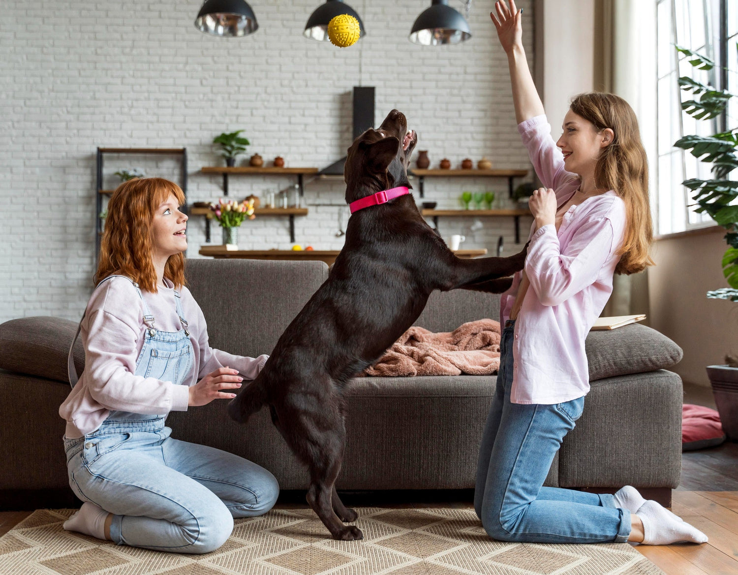 Living with a Libra Dog: What to Expect (A Day in the Life of a Libra Dog)