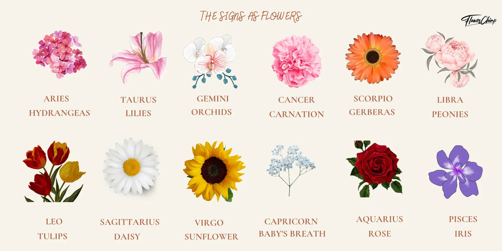 Libra Zodiac Flower: What Is the Best Flower for Libras?