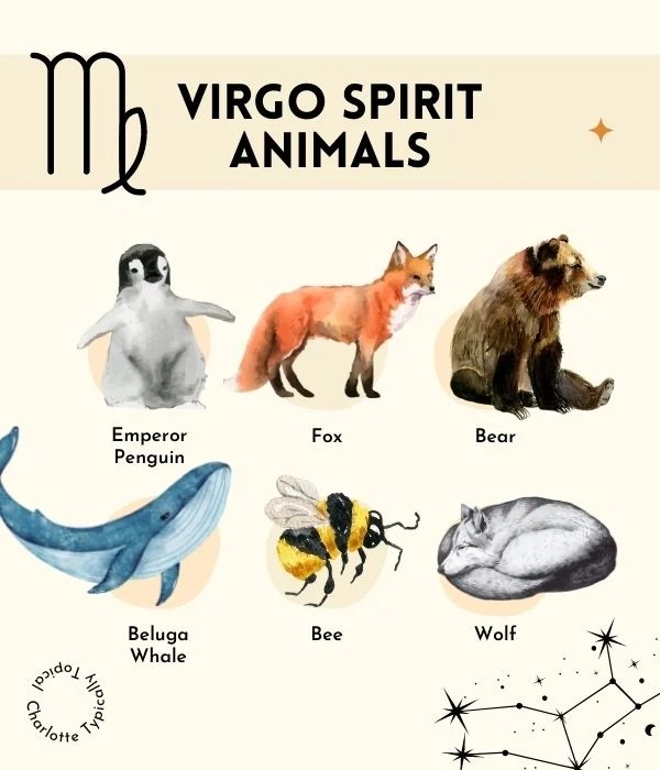 What is the Virgo Animal, and What Does It Mean for You?