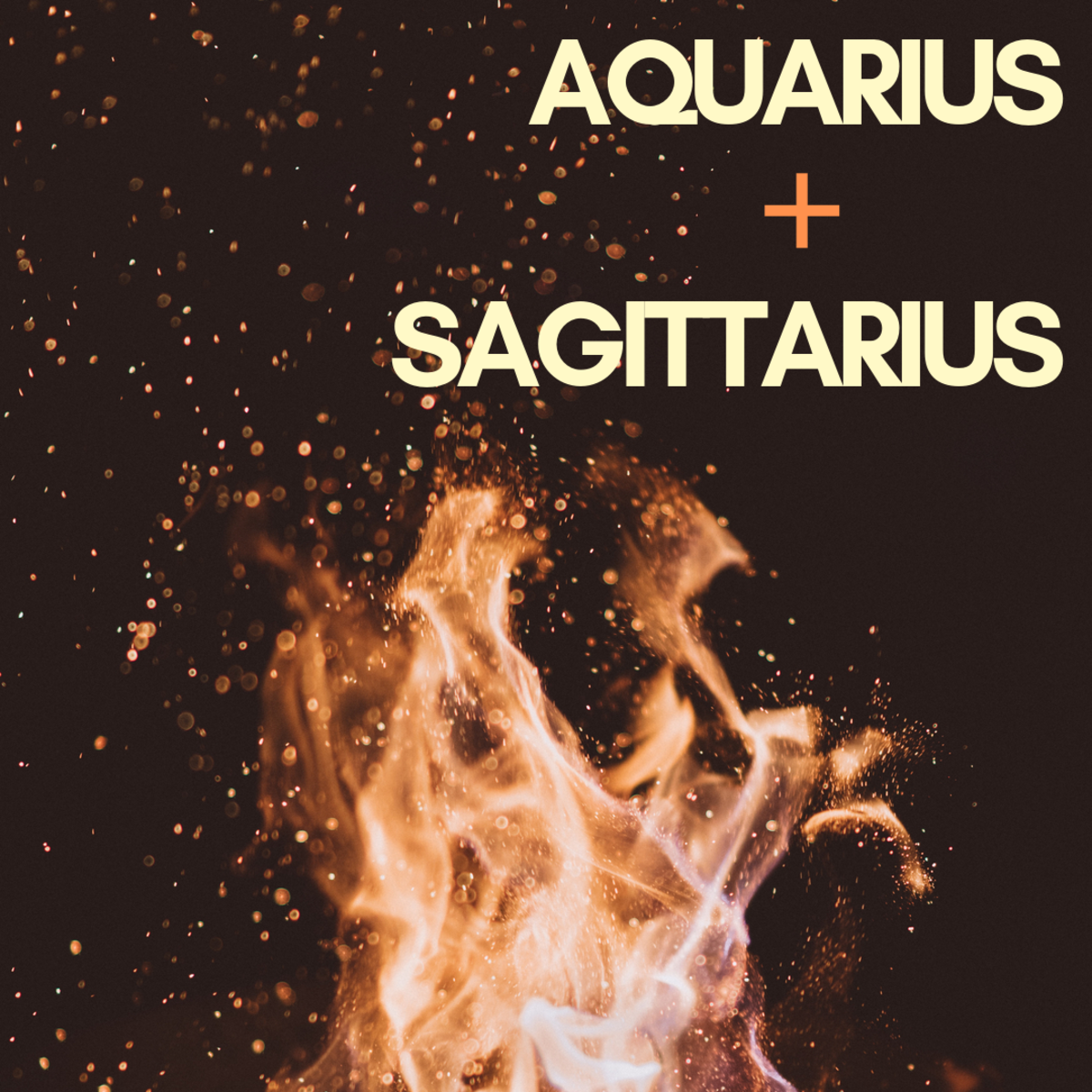 An Aquarius Male and a Sagittarius Female: Can This Relationship Survive in the Long Term?